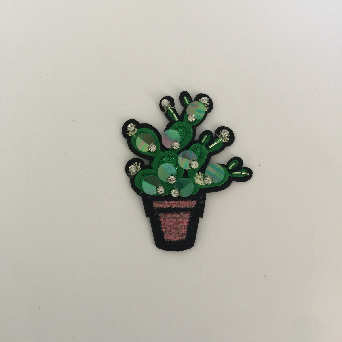 Small Flowering Cactus Patch